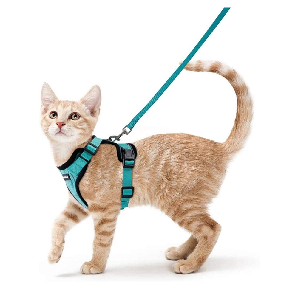 NEW RABBITGOO Emerald Teal Cat Mesh Reflective Leash Harness Walking Escape Pet